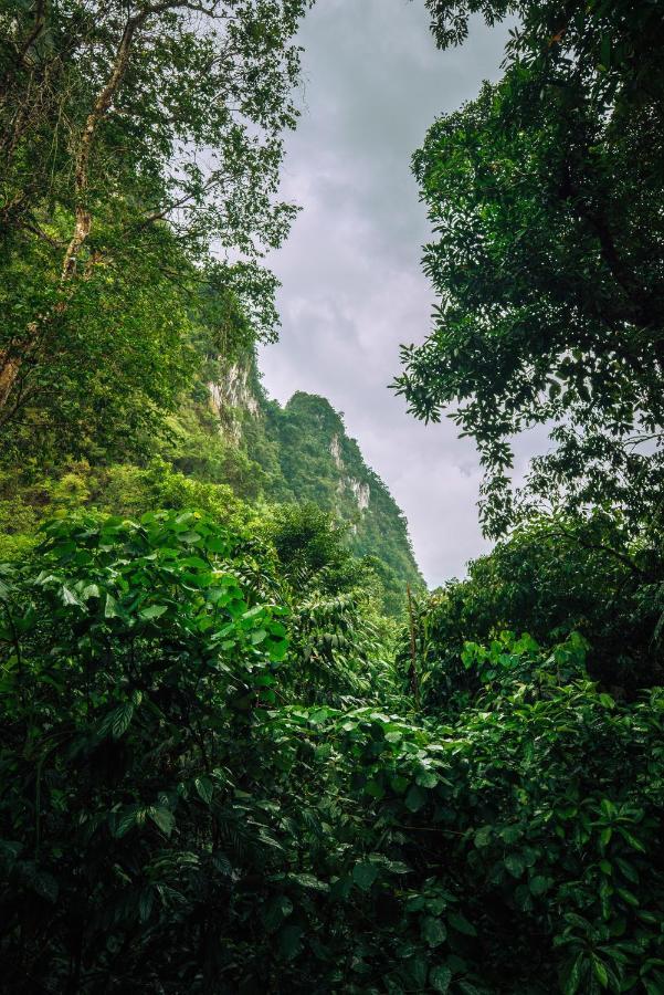 Our Jungle House Hotel Khao Sok National Park Exterior photo