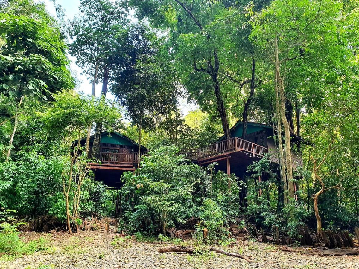 Our Jungle House Hotel Khao Sok National Park Exterior photo