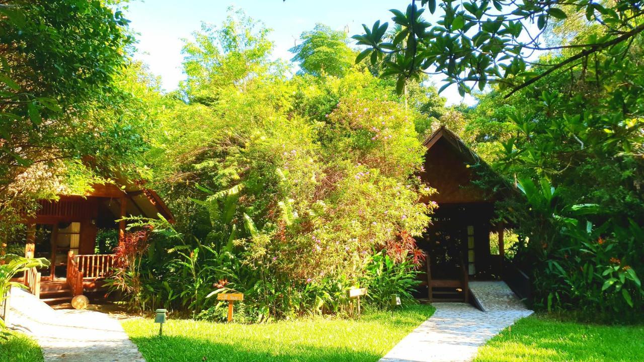 Our Jungle House Hotel Khao Sok National Park Exterior photo