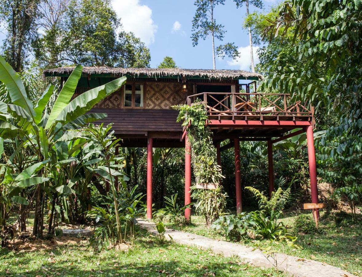 Our Jungle House Hotel Khao Sok National Park Exterior photo